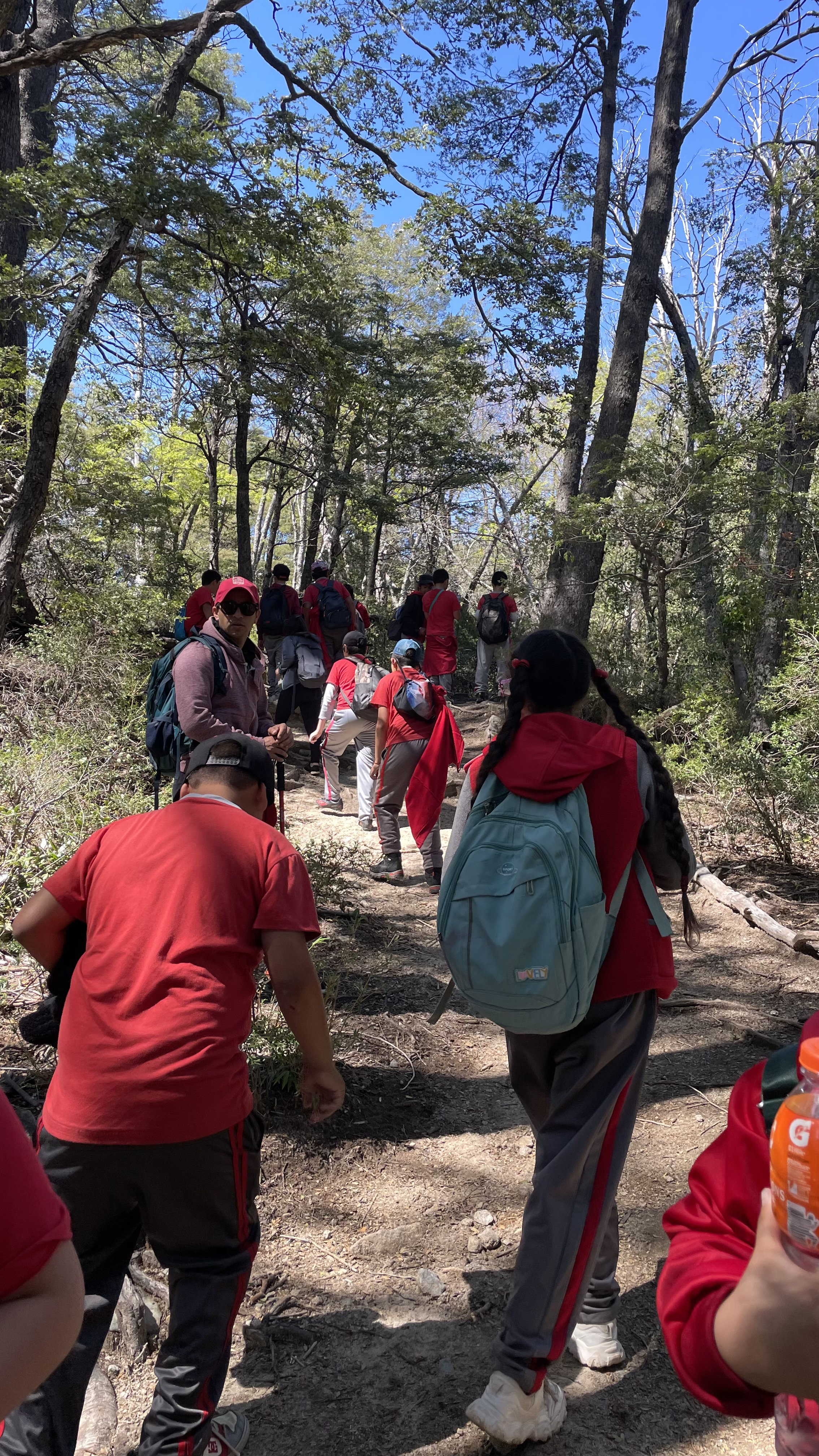 Exitoso Trekking de Quinto Básico en un Día Soleado