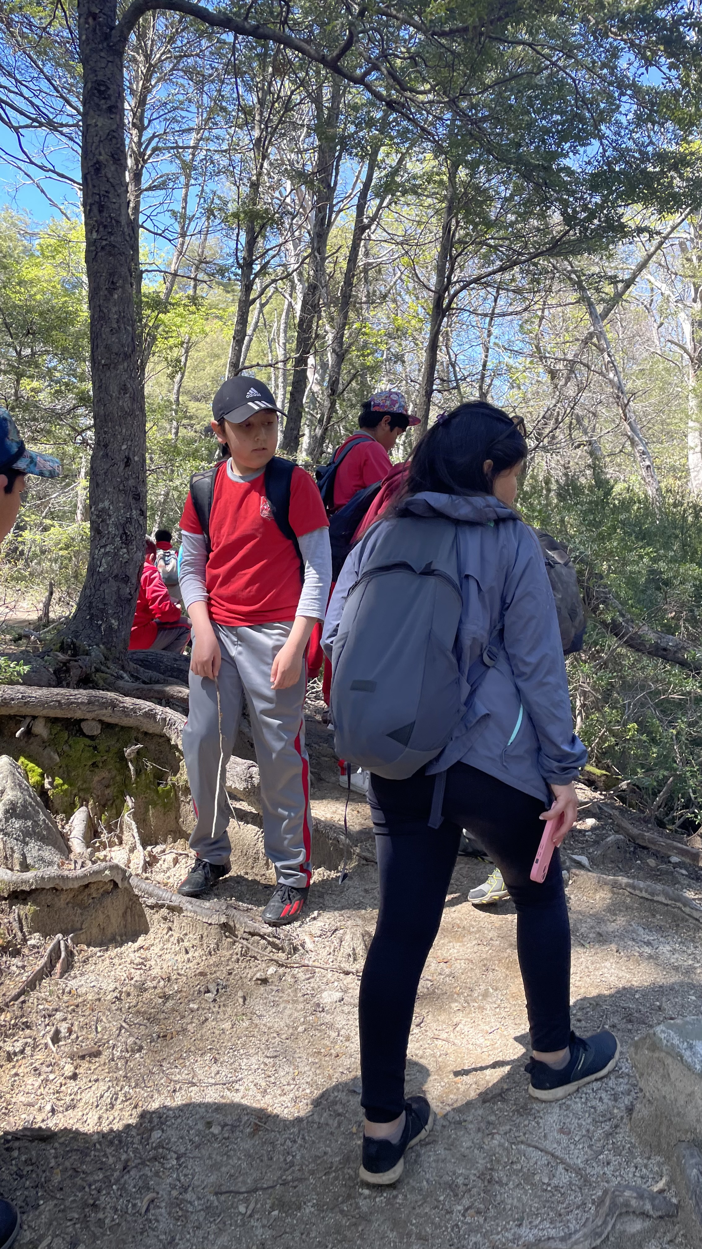 Exitoso Trekking de Quinto Básico en un Día Soleado