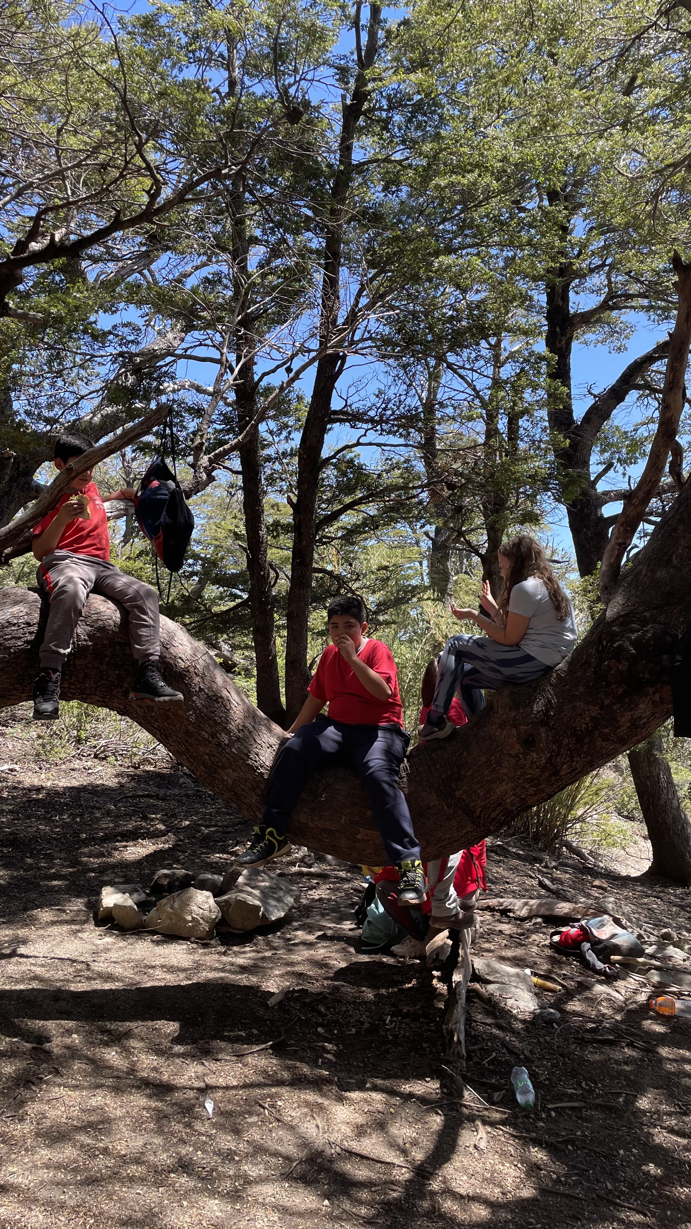Exitoso Trekking de Quinto Básico en un Día Soleado