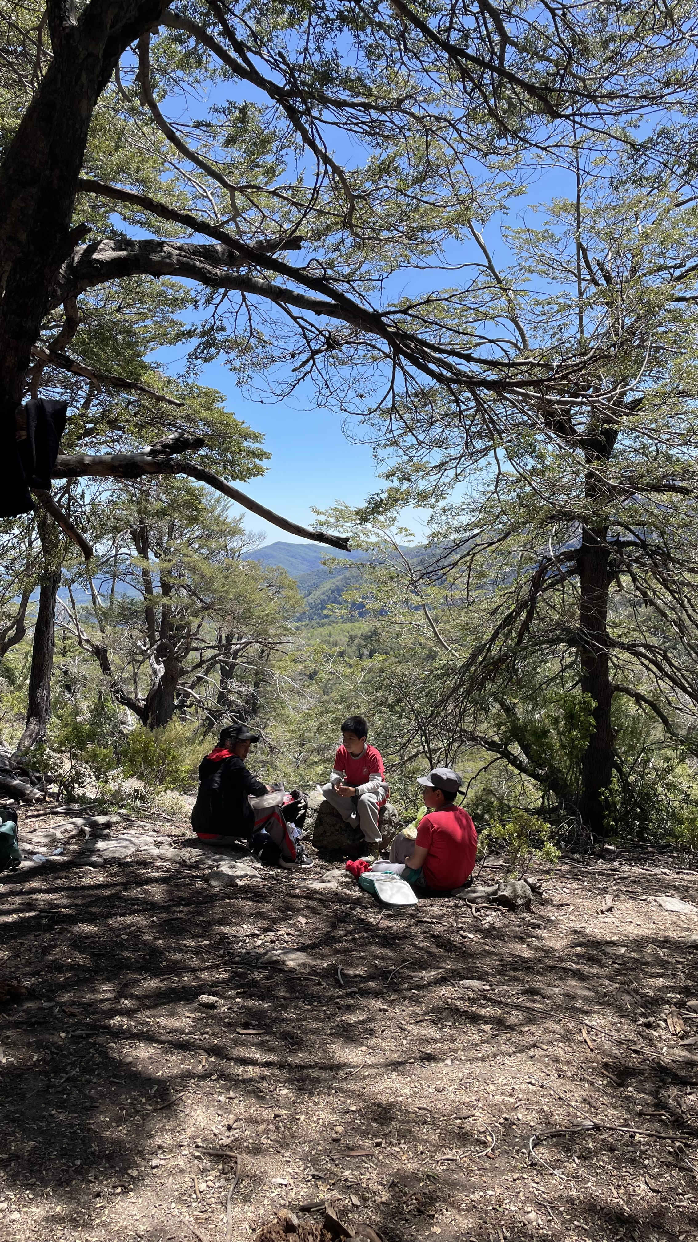 Exitoso Trekking de Quinto Básico en un Día Soleado