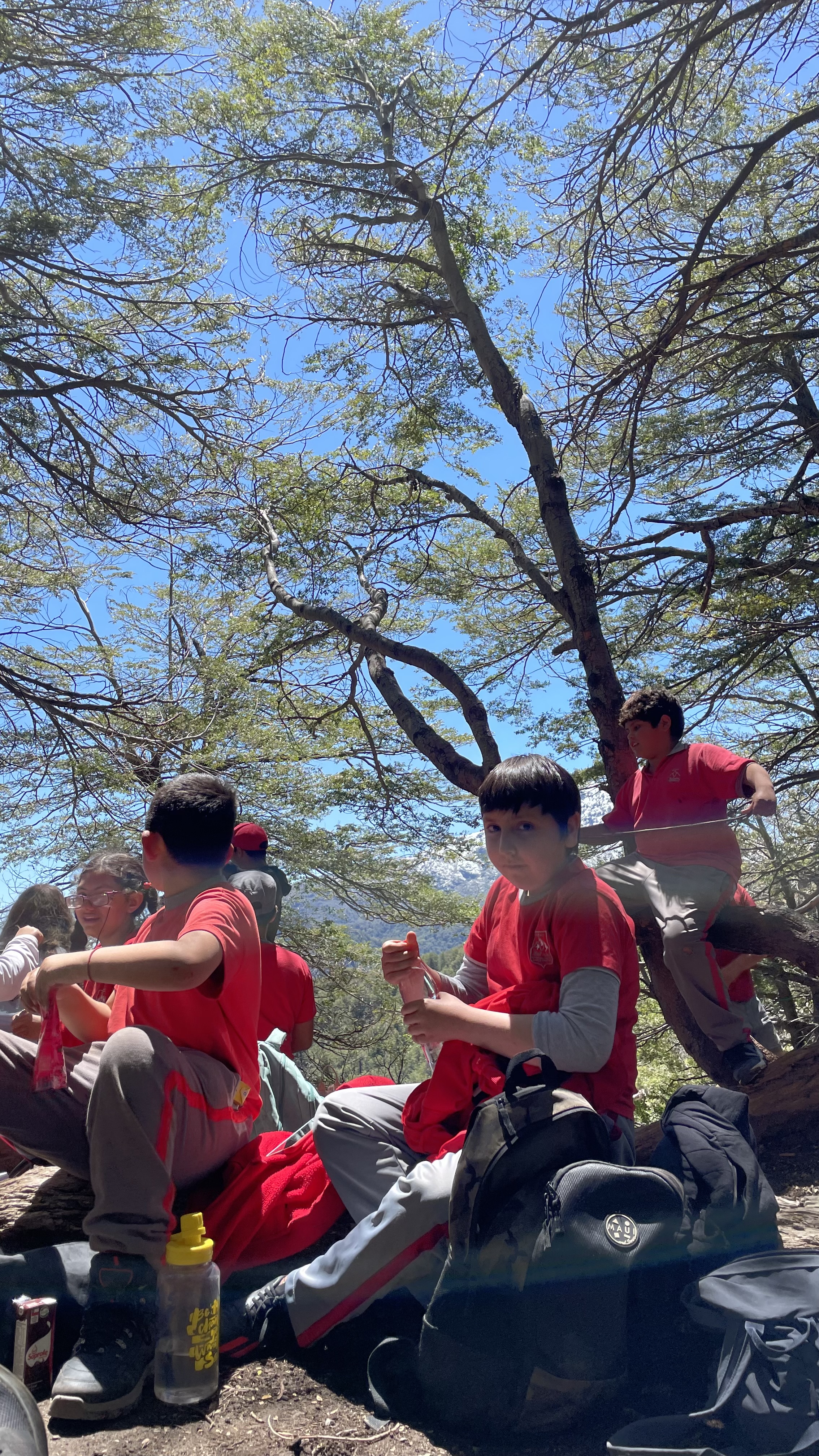 Exitoso Trekking de Quinto Básico en un Día Soleado