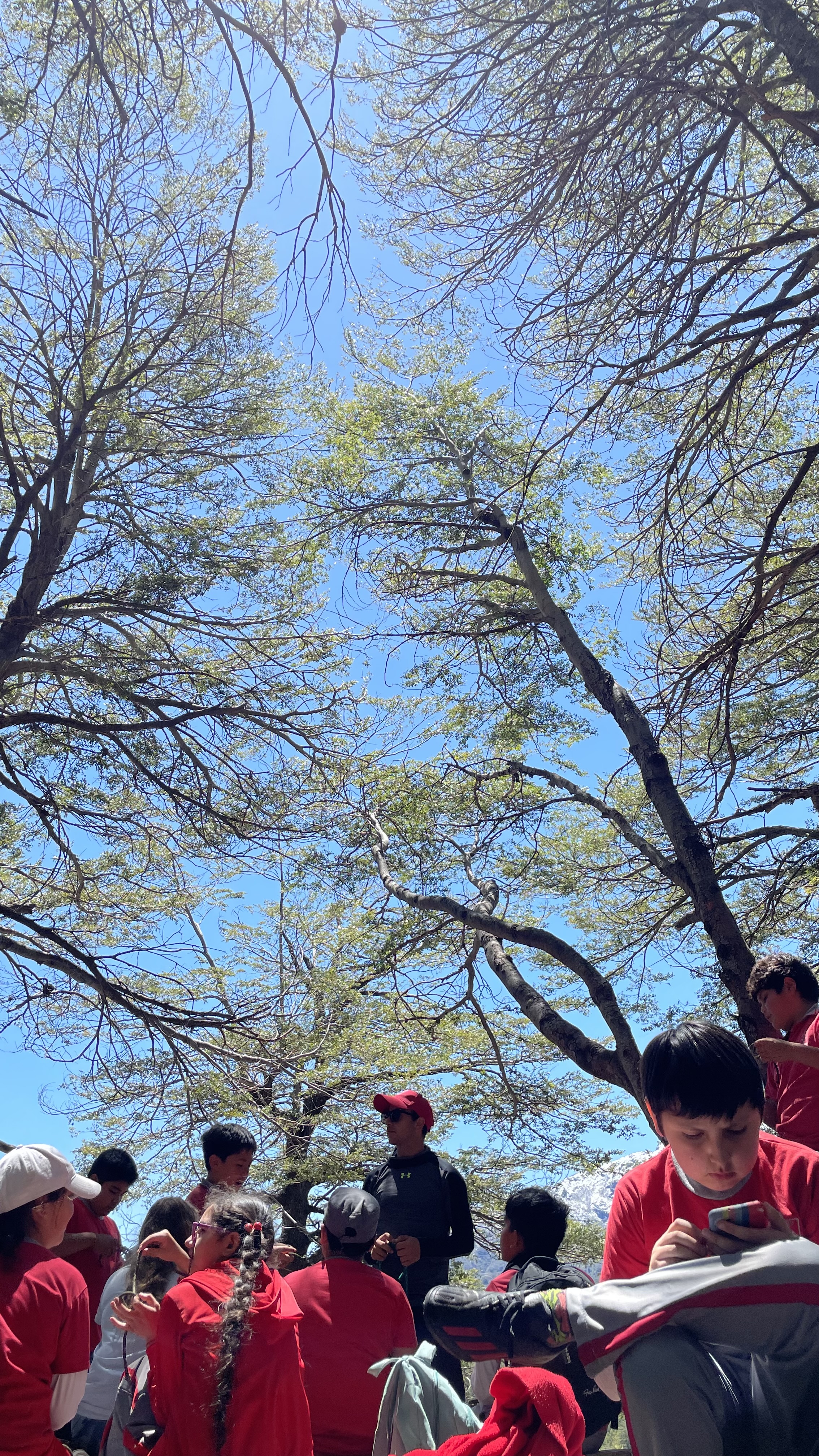 Exitoso Trekking de Quinto Básico en un Día Soleado
