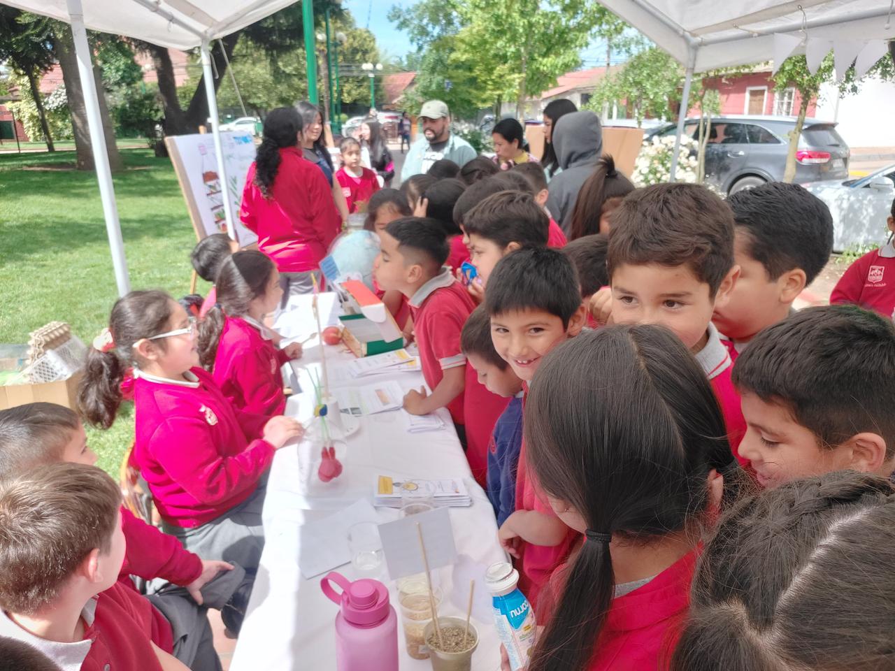 Feria cientifica